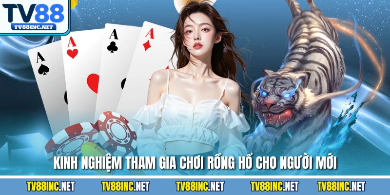 Kinh nghiệm tham gia chơi Rồng Hổ cho người mới