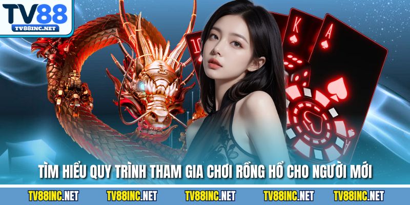 Tìm hiểu quy trình tham gia chơi Rồng Hổ cho người mới